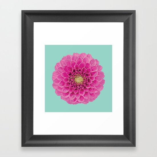 Dahlia (Part of a Triptych) Framed Art Print
