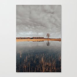 Lonely tree across the lake Canvas Print