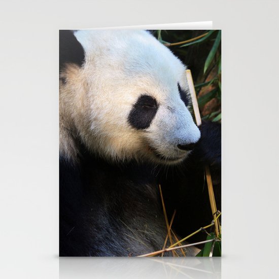 Panda Nap Stationery Cards