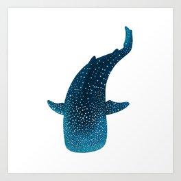 Whale Shark Marine Life Art Print