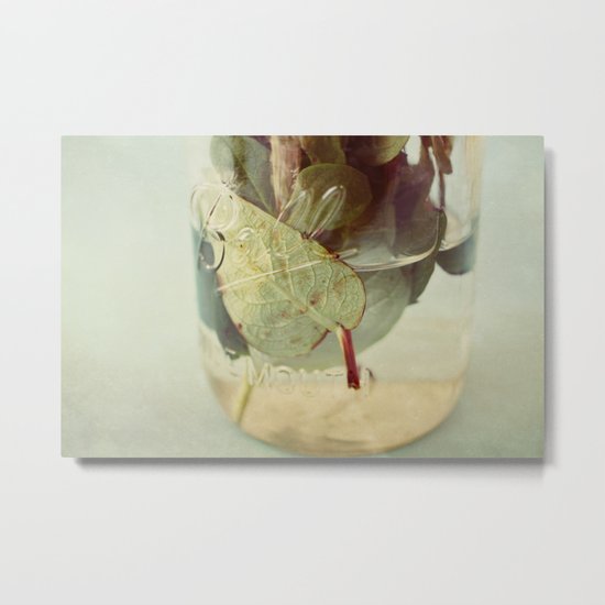 leaves underwater Metal Print