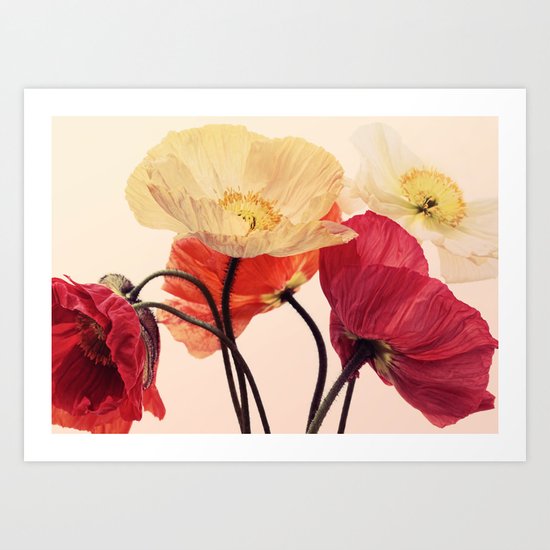 Posing Poppies - bright, vintage toned poppy still life Art Print