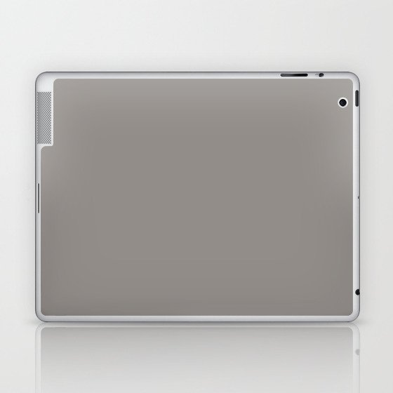 Granite Gray Laptop & iPad Skin