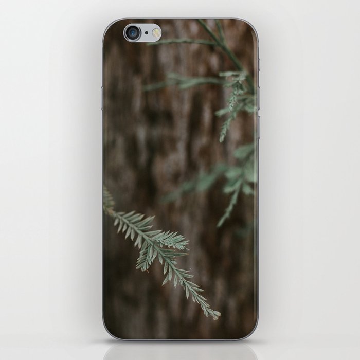 The Pine  iPhone Skin