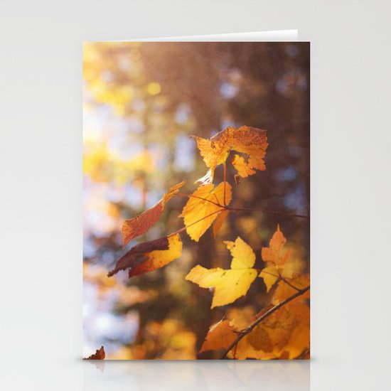 sun soaked autumn Stationery Cards