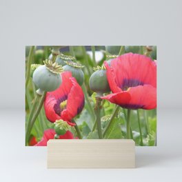 Poppies Mini Art Print