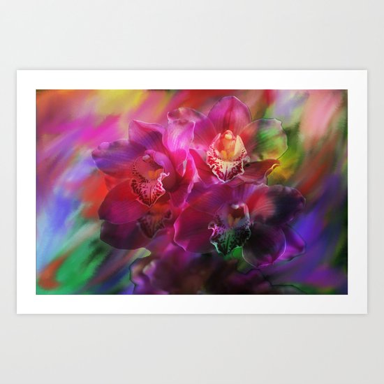 Coronation Orchids Art Print