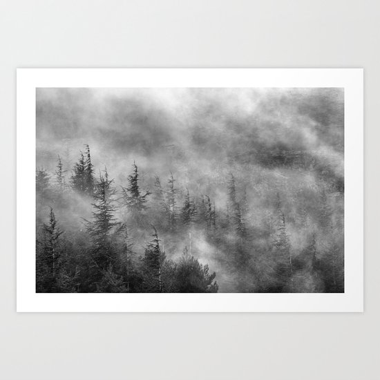 Misty forest. BW Art Print