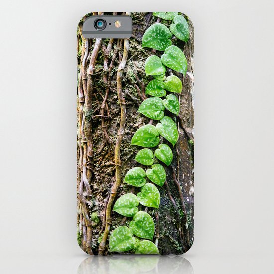 Scindapsus pictus iPhone & iPod Case