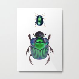 Two Green Beetles Metal Print