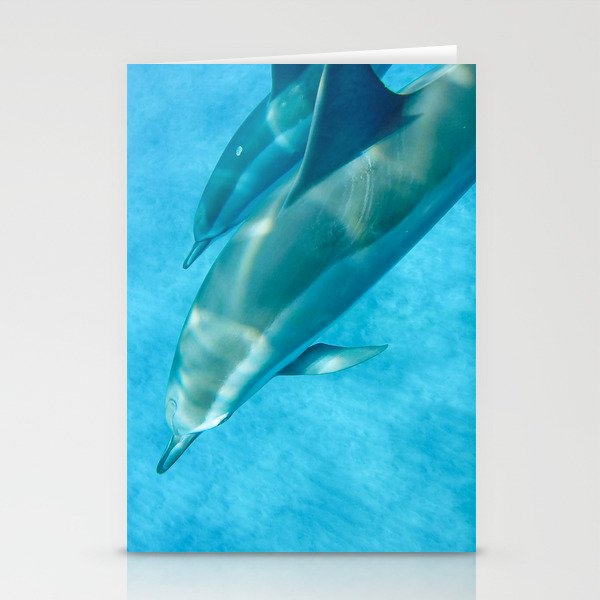 Swimming with Dolphins Stationery Cards