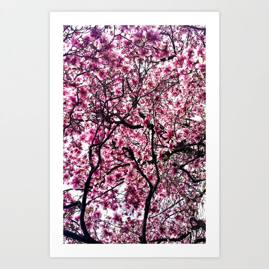 Cherry Art Print