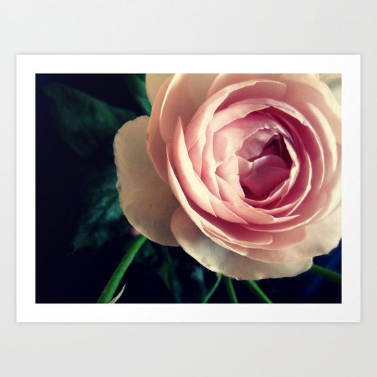 Stop to smell the roses 2 Art Print