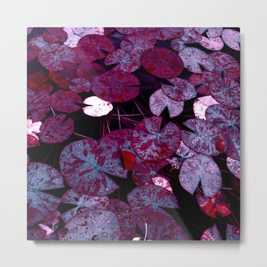 lily pads XII Metal Print