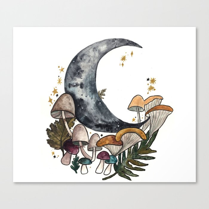 Mushroom Moon Canvas Print