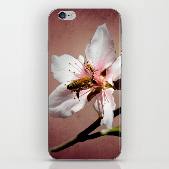 Life is Sweet iPhone & iPod Skin