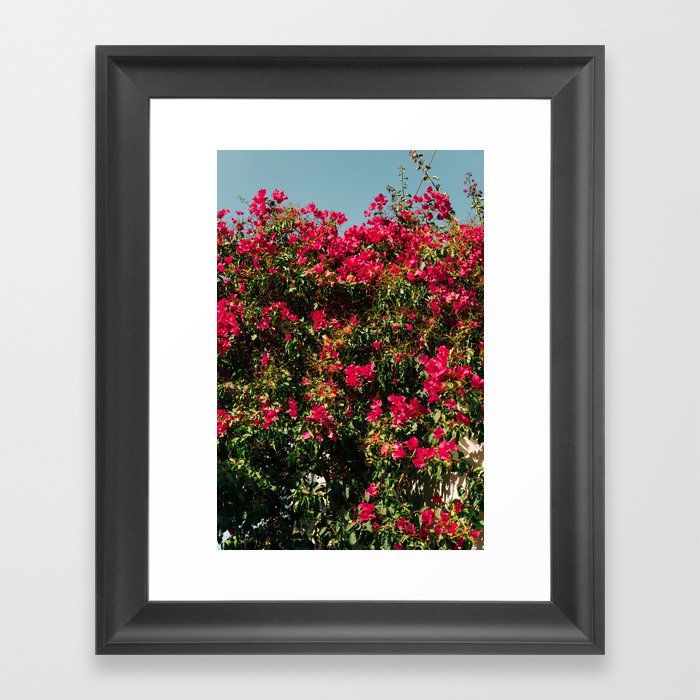 Vintage Flower Festival | Pink Flowers in Bush | Nature & Travel Photography Framed Art Print