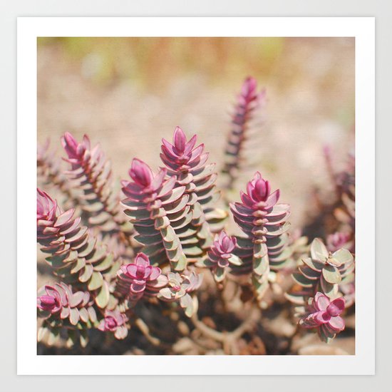 Hebe Art Print