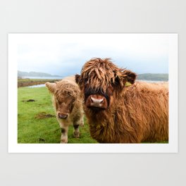 Scottish Highlands Art Prints For Any Decor Style Society6