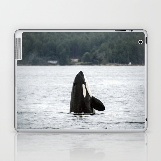 Whale  Laptop & iPad Skin