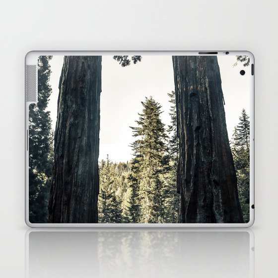 Twin giant redwoods / sequoias Pacific Coast California nature color landscape photograph / photography Laptop & iPad Skin