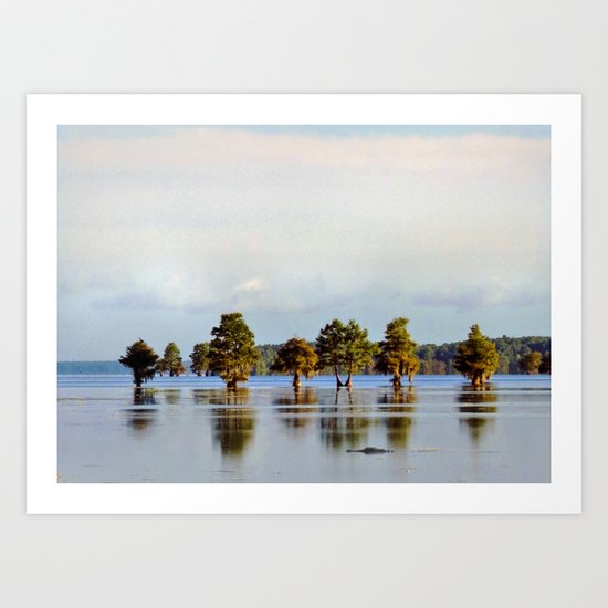 Morning Swim? Art Print