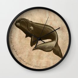 North Atlantic Right Whale, Digital Illustration by Amber Marine (Copyright 2015) Wall Clock