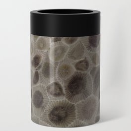 Petoskey Stone Can Cooler