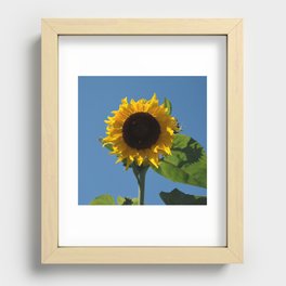 Sunflower for Ukraine - 50% of Profits to Charity Recessed Framed Print