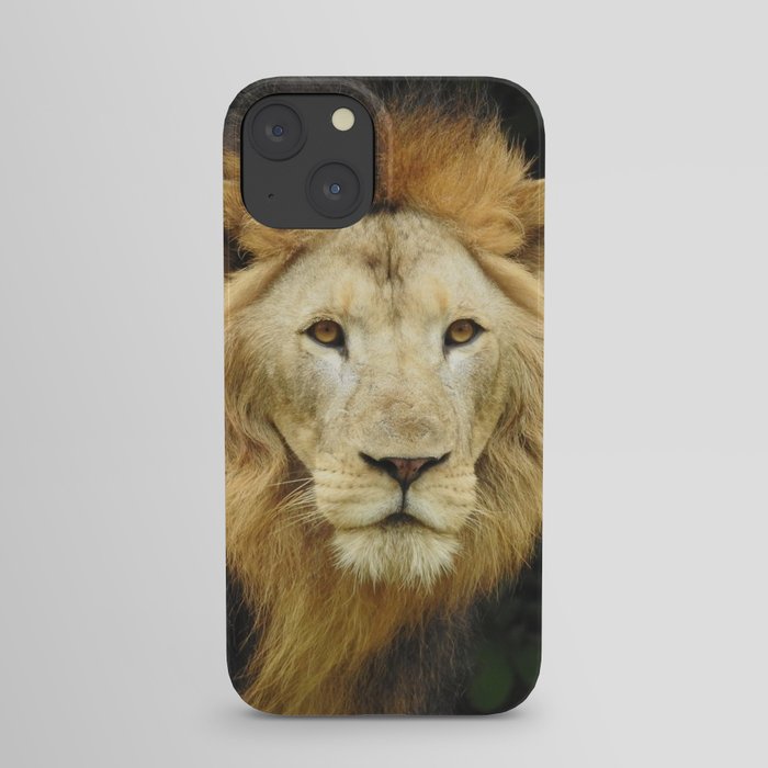 Lion the King of Beasts iPhone Case