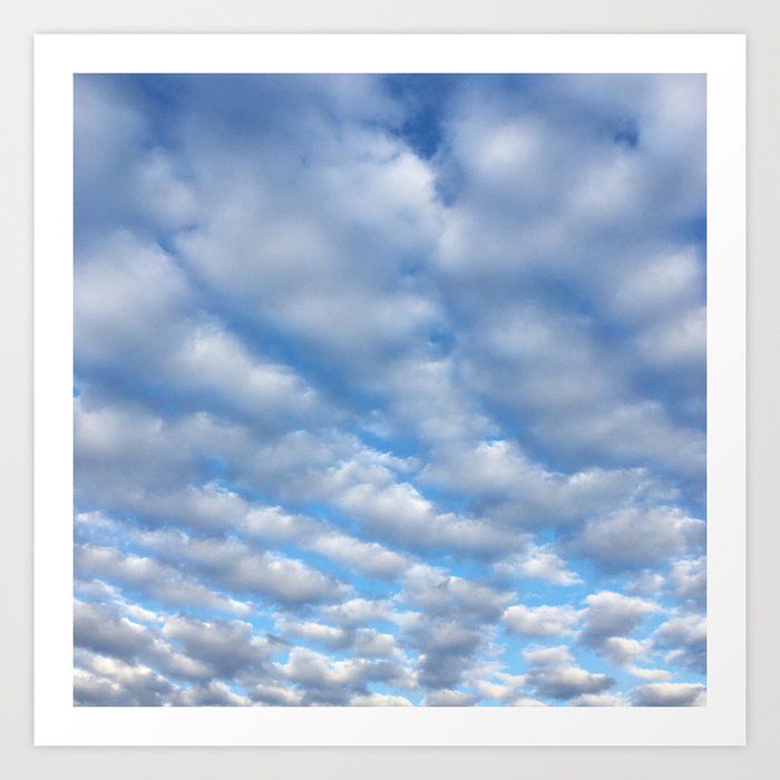 Looking Up / US224 Art Print