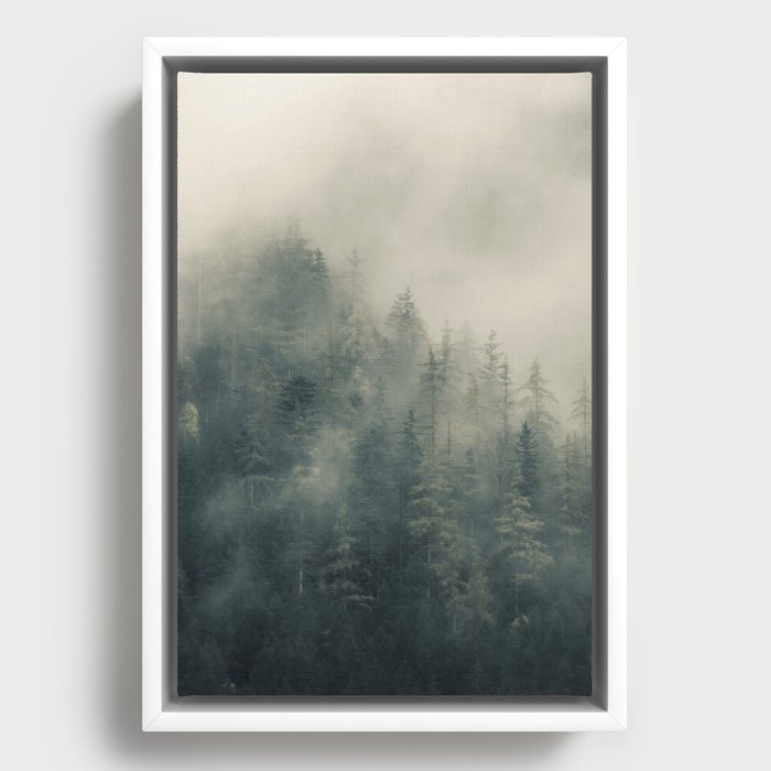 Framed Canvas
