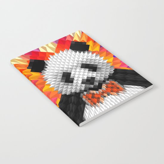 Geo Panda Notebook
