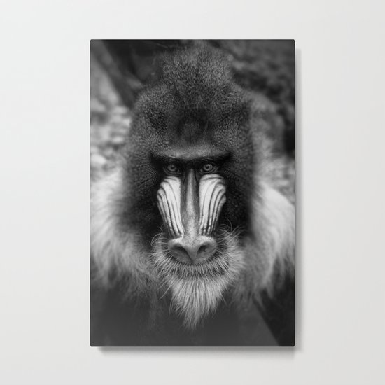King Monkey Metal Print