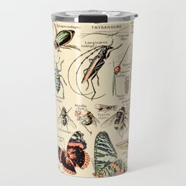Vintage Insect Identification Chart // Arthropodes by Adolphe Millot XL 19th Century Science Artwork Travel Mug