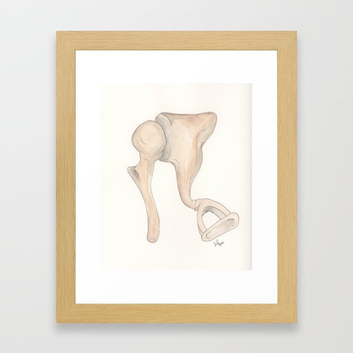 Watercolor Ossicles Framed Art Print