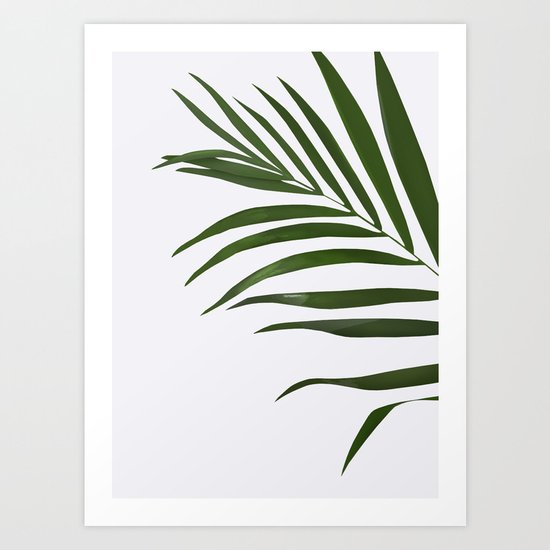 Fern Art Print