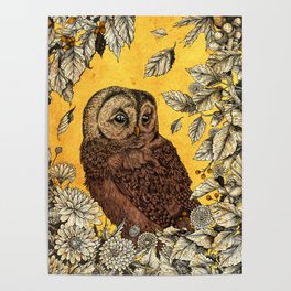 Tawny Owl Yellow Poster