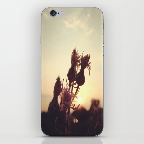 Rise to the Day iPhone & iPod Skin