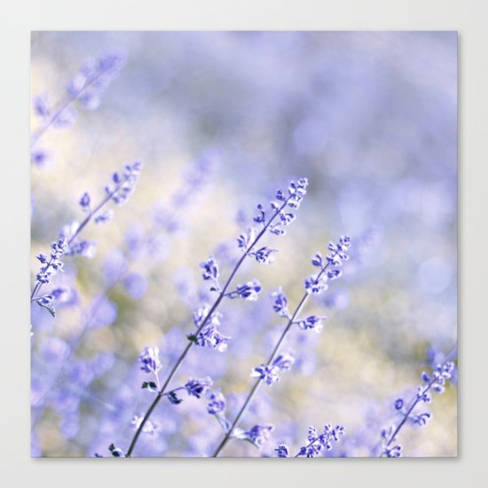 FLOWER Canvas Print