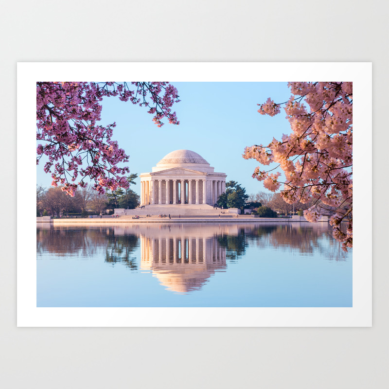 Cherry Blossoms At Jefferson Memorial In Washington Dc Art Print