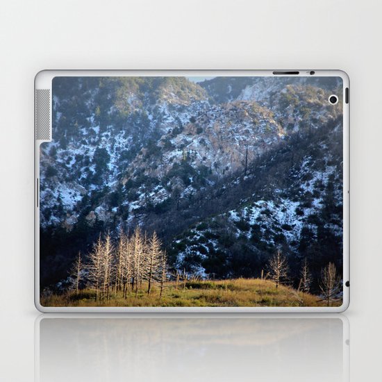 magic kingdom Laptop & iPad Skin