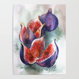 Fig Watercolor Fruits Poster