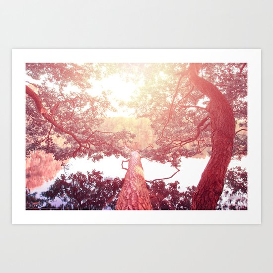Red woods #trees Art Print