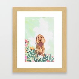 Cocker Spaniel in a field of flowers Framed Art Print