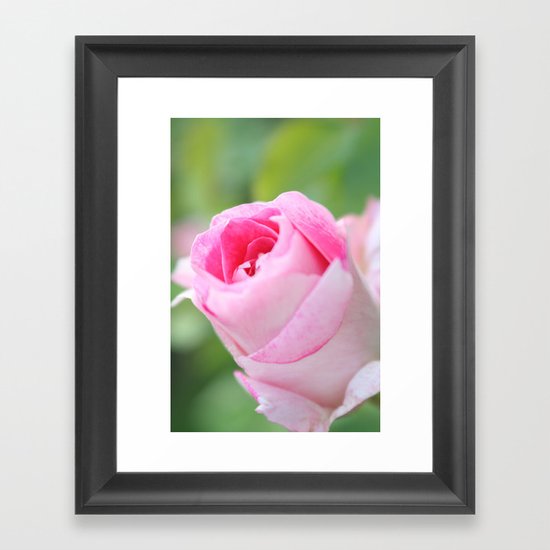 Vintage Flower Bud Framed Art Print