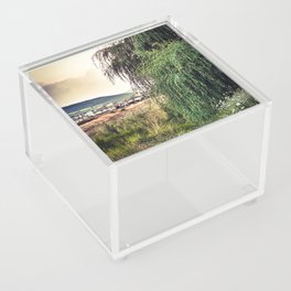 Willow and the suburbia Acrylic Box