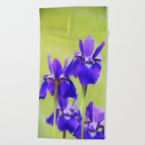 Irises Beach Towel