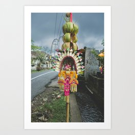 Balinese Offering/ Travel Photography/ Wall Art Art Print
