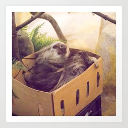 Sloth in a Box Art Print